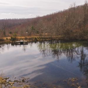 DJI_20260304115116_0535_D