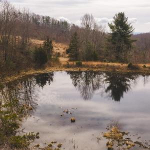 DJI_20260304115119_0536_D