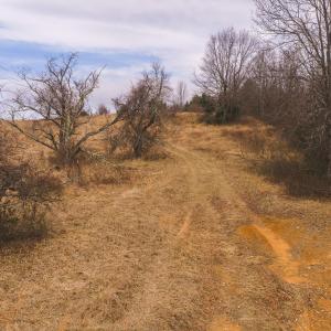 DJI_20260304120006_0545_D