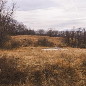 DJI_20260304120134_0548_D