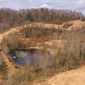 DJI_20260304120217_0550_D