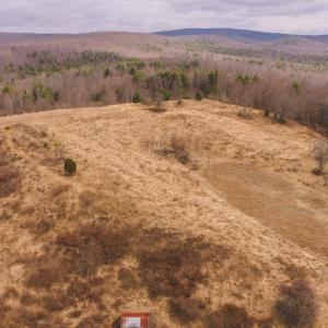 DJI_20260304120306_0553_D