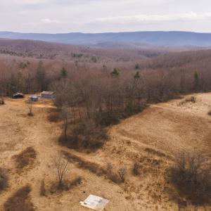 DJI_20260304120312_0554_D