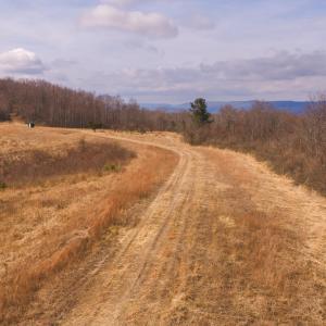 DJI_20260304120820_0556_D