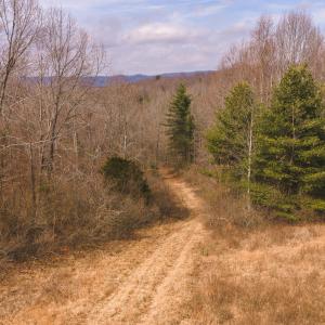 DJI_20260304120906_0559_D