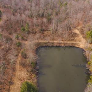 DJI_20260304121307_0568_D