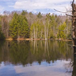 DJI_20260304123742_0576_D