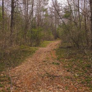 DJI_20260304123917_0580_D