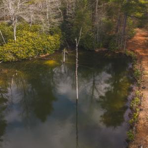 DJI_20260304124601_0589_D