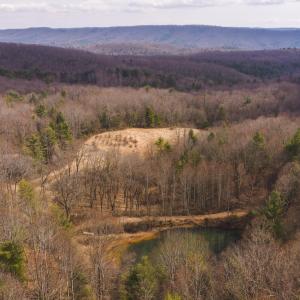 DJI_20260304131611_0591_D