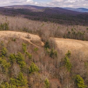 DJI_20260304131618_0592_D