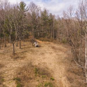 DJI_20260304131726_0595_D