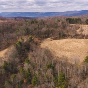 DJI_20260304131839_0600_D