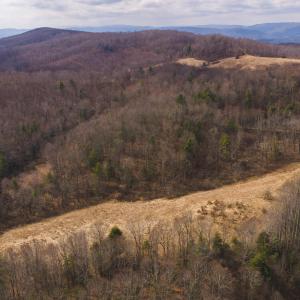 DJI_20260304131846_0601_D