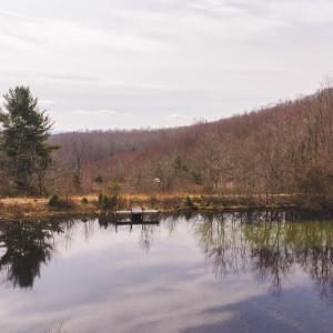 DJI_20260304115109_0534_D