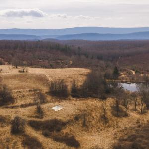 DJI_20260304120109_0547_D