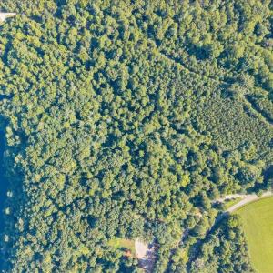05-DJI_20260731104403_0067_D