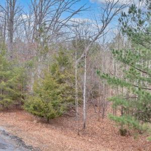 DJI_20260224142230_0007_D_MIB