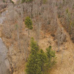 DJI_20260221133924_0288_D