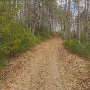 DJI_20260221141754_0312_D