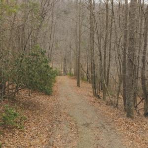 DJI_20260221141932_0317_D