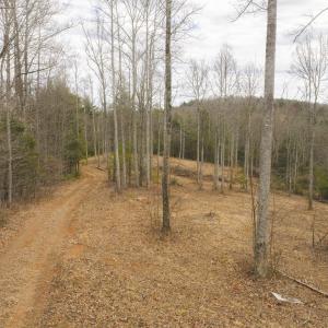 DJI_20260221142741_0324_D