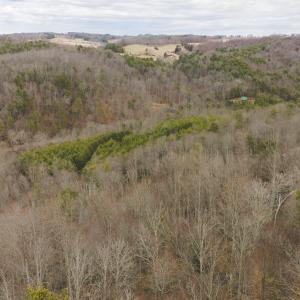 DJI_20260221142944_0330_D