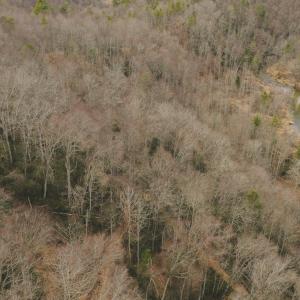 DJI_20260221143020_0333_D