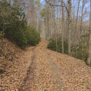 DJI_20260221145122_0343_D