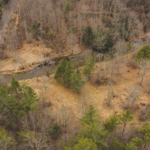 DJI_20260221134241_0297_D