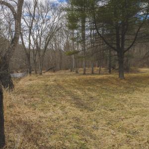 DJI_20260221134637_0306_D