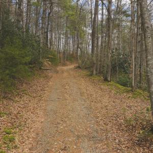 DJI_20260221141826_0314_D