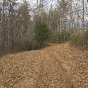 DJI_20260221142256_0320_D