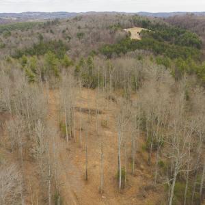 DJI_20260221142841_0328_D