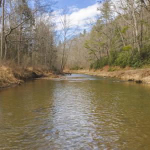 DJI_20260221150641_0348_D