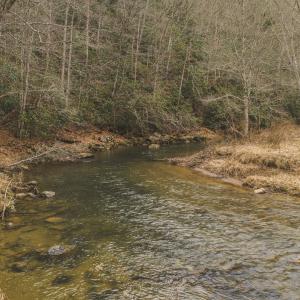 DJI_20260221133542_0278_D