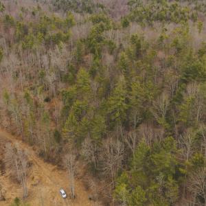 DJI_20260221134116_0293_D