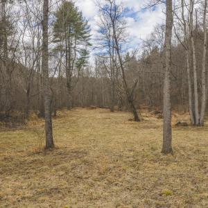 DJI_20260221134316_0299_D