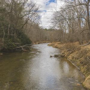 DJI_20260221134614_0305_D