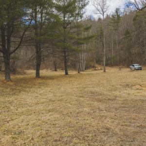 DJI_20260221134641_0307_D