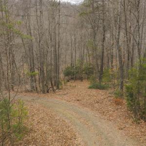 DJI_20260221141858_0315_D