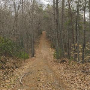 DJI_20260221142214_0318_D