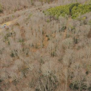 DJI_20260221143013_0332_D