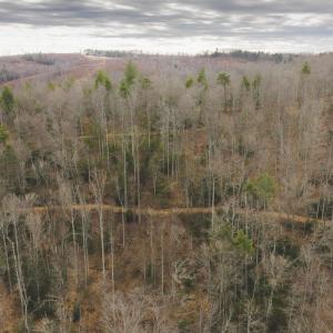 DJI_20260221143133_0338_D