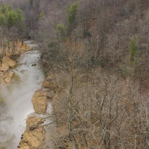 DJI_20260221150653_0349_D