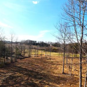 DJI_20260225153734_0021_D