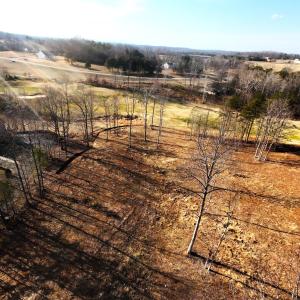 DJI_20260225153811_0022_D