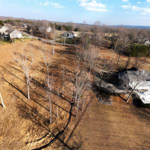 DJI_20260225154003_0026_D