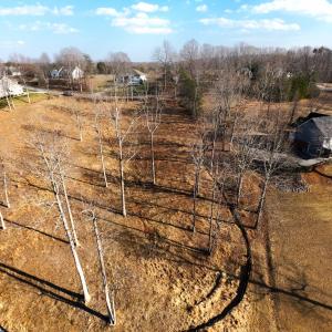 DJI_20260225154018_0027_D