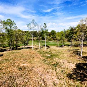 DJI_20260414115530_0061_D